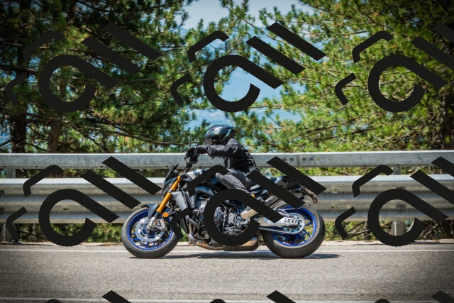 202507201156-DSC06621_c1_