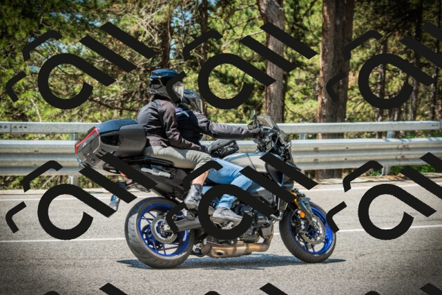 202507201156-DSC06629_c1_