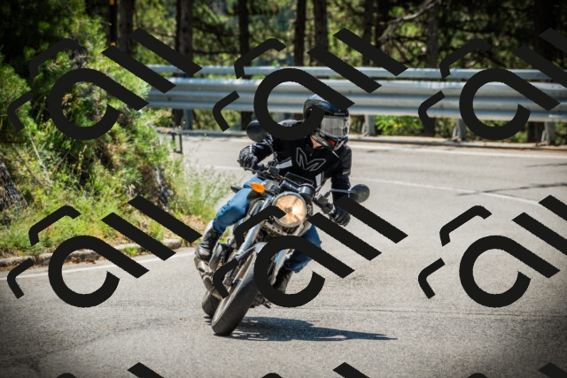 202507201157-DSC06634_c1_