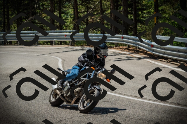 202507201157-DSC06635_c1_