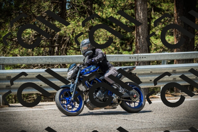 202507201159-DSC06669_c1_