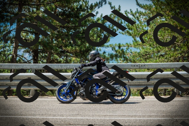 202507201159-DSC06670_c1_