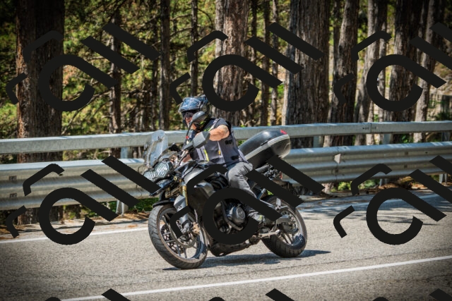 202507201202-DSC06713_c1_