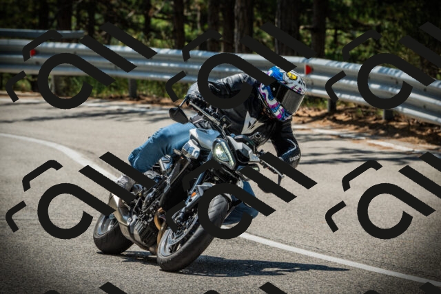 202507201202-DSC06734_c1_