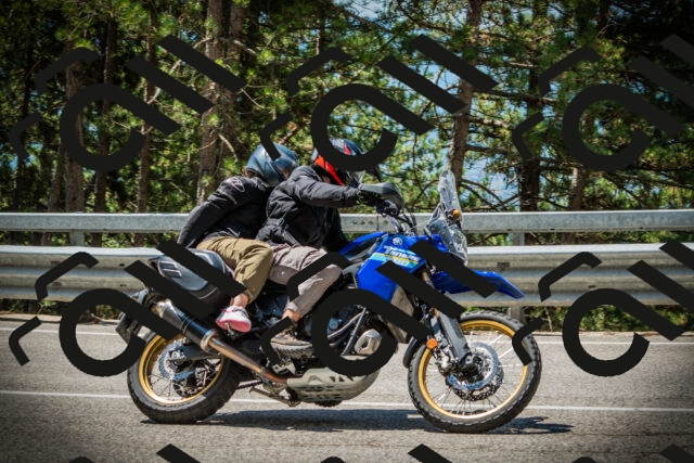 202507201203-DSC06759_c1_