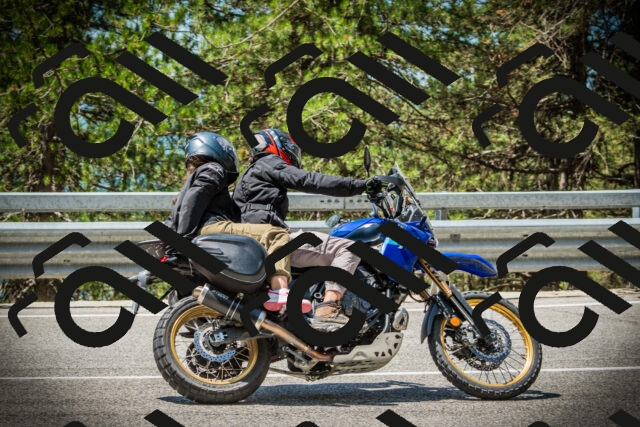 202507201203-DSC06760_c1_