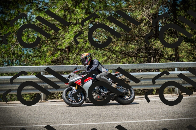 202507201203-DSC06766_c1_