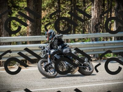 202507201210-DSC06929_c1_