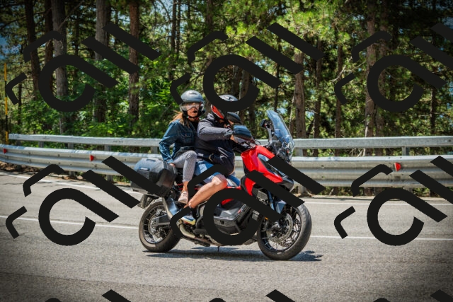 202507201230-DSC07317_c1_