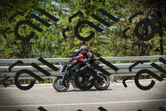 202507201230-DSC07323_c1_