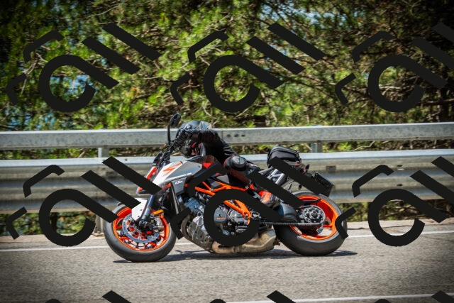 202507201231-DSC07326_c1_