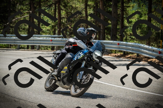 202507201231-DSC07331_c1_