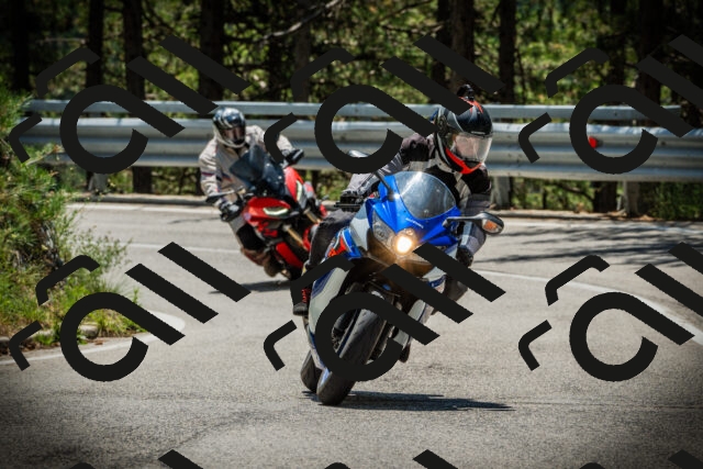 202507201232-DSC07344_c1_