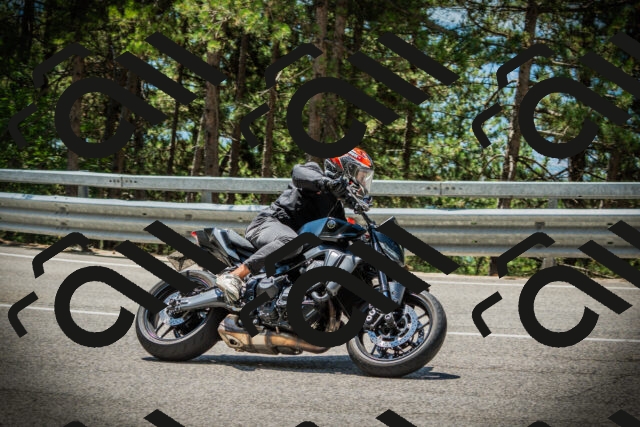 202507201232-DSC07356_c1_