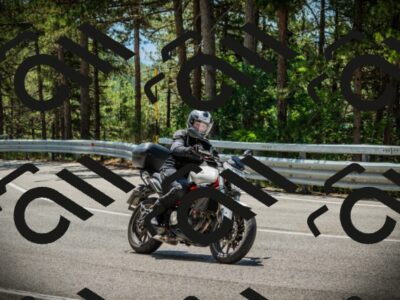 202507201233-DSC07368_c1_