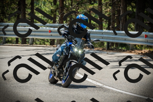 202507201233-DSC07371_c1_