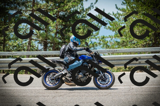 202507201233-DSC07373_c1_