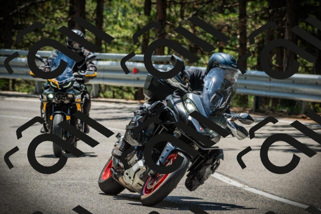 202507201237-DSC07408_c1_