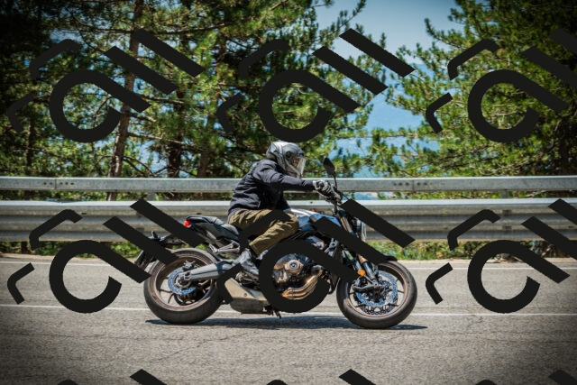 202507201237-DSC07413_c1_