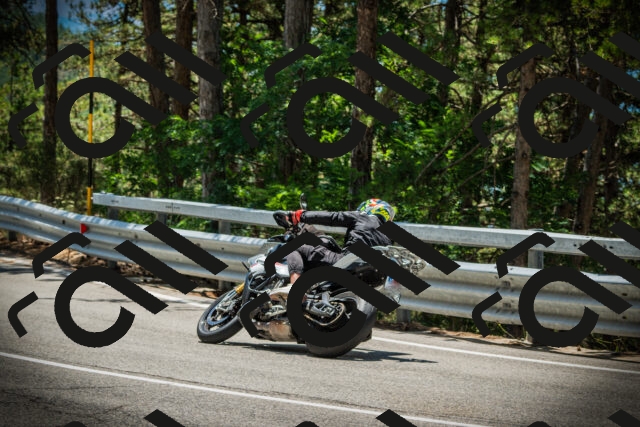 202507201237-DSC07415_c1_