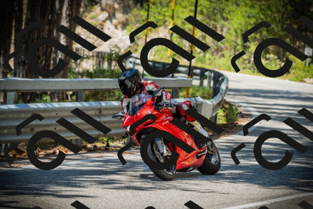 202507201237-DSC07419_c1_