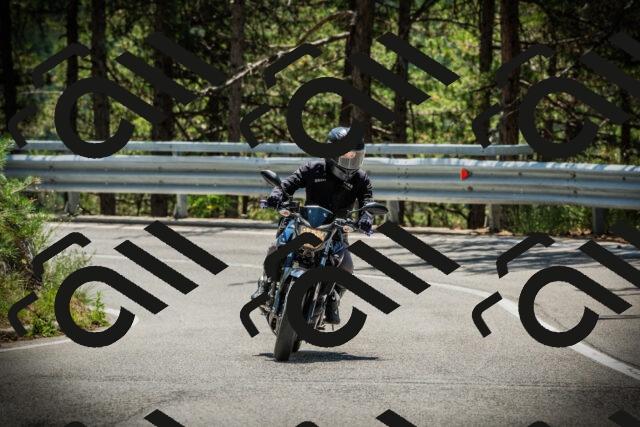 202507201240-DSC07451_c1_