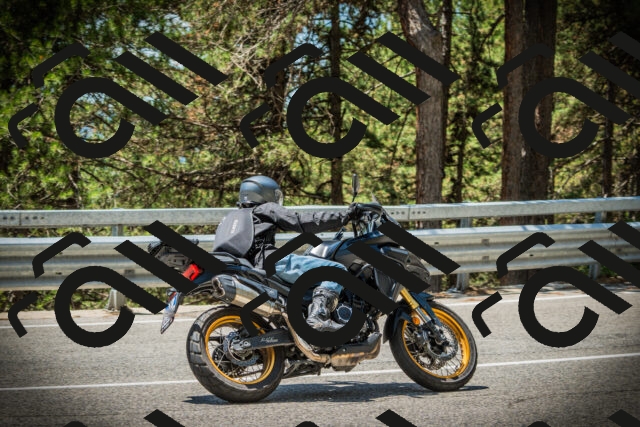 202507201241-DSC07474_c1_