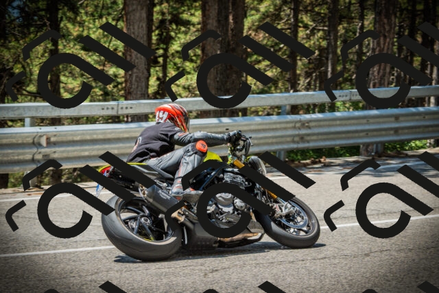 202507201242-DSC07488_c1_