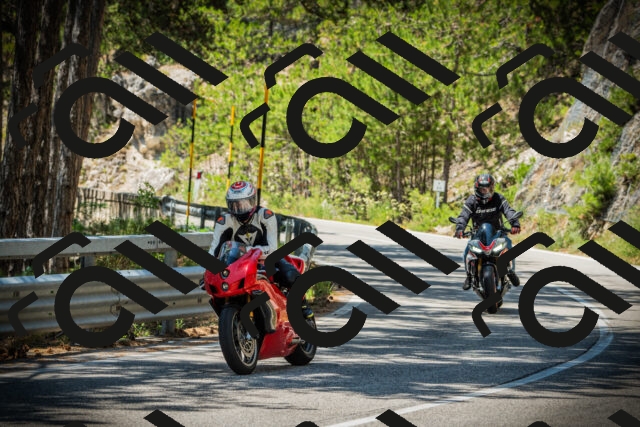 202507201242-DSC07489_c1_