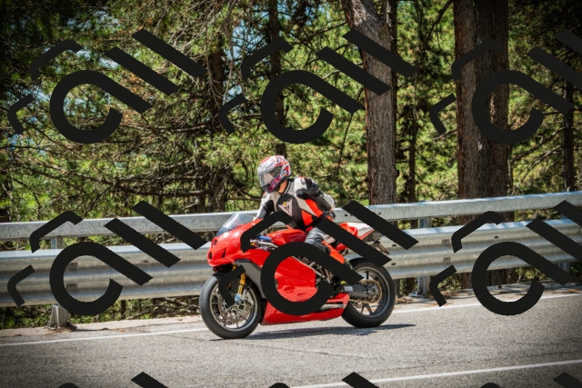 202507201242-DSC07491_c1_