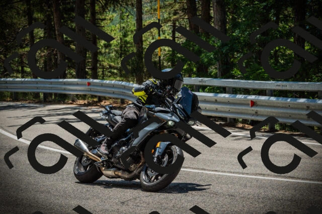 202507201242-DSC07496_c1_