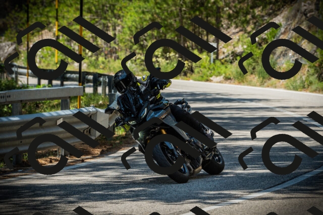 202507201243-DSC07500_c1_