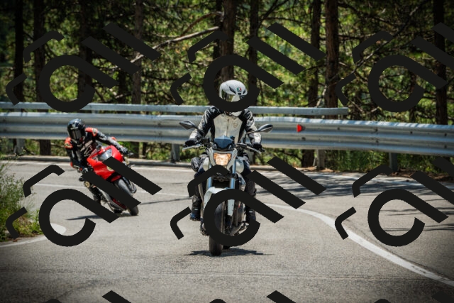 202507201244-DSC07509_c1_