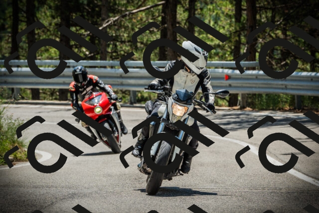 202507201244-DSC07510_c1_