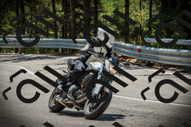 202507201244-DSC07511_c1_