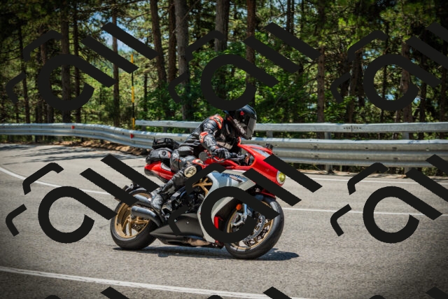 202507201244-DSC07513_c1_