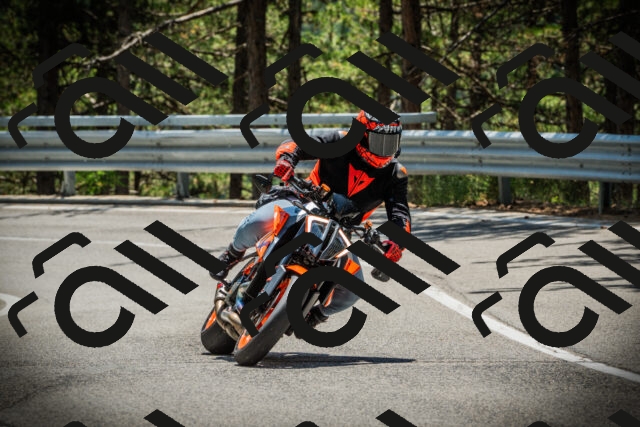 202507201244-DSC07529_c1_