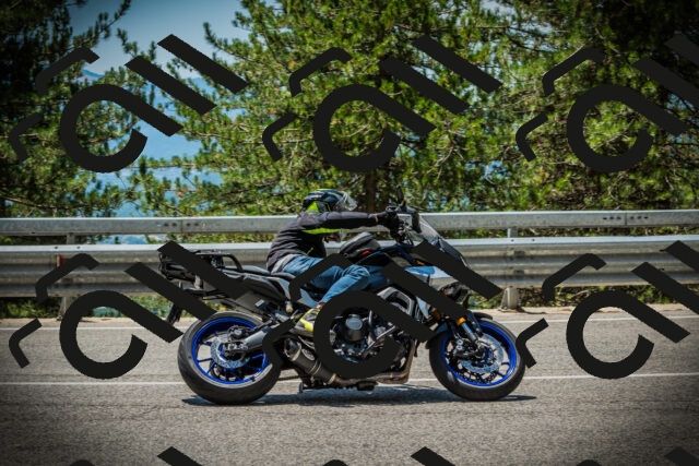 202507201244-DSC07535_c1_