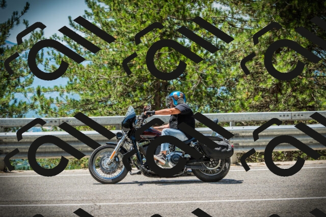 202507201244-DSC07540_c1_