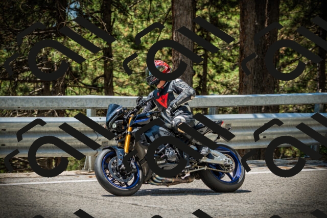 202507201246-DSC07567_c1_