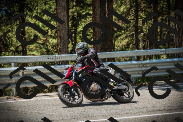 202507201247-DSC07580_c1_