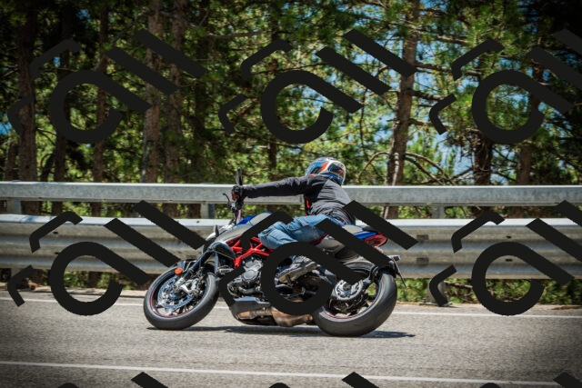 202507201250-DSC07594_c1_