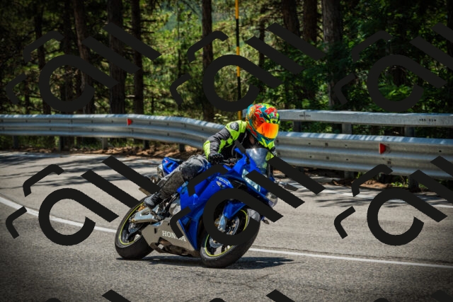 202507201253-DSC07609_c1_