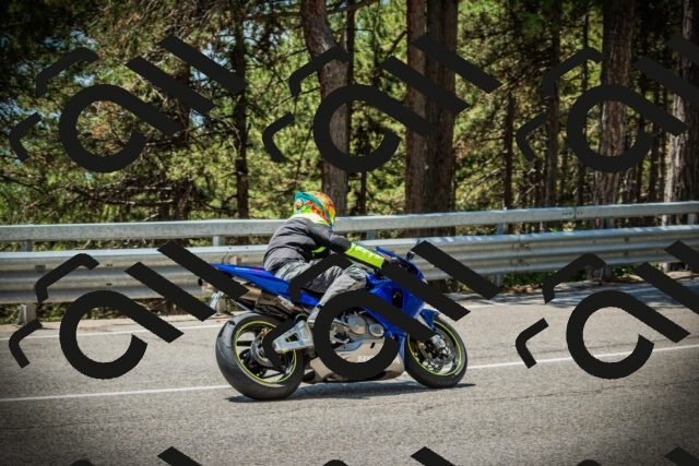 202507201253-DSC07611_c1_