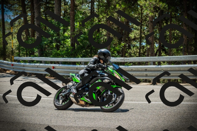 202507201255-DSC07627_c1_