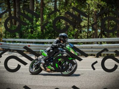 202507201255-DSC07627_c1_