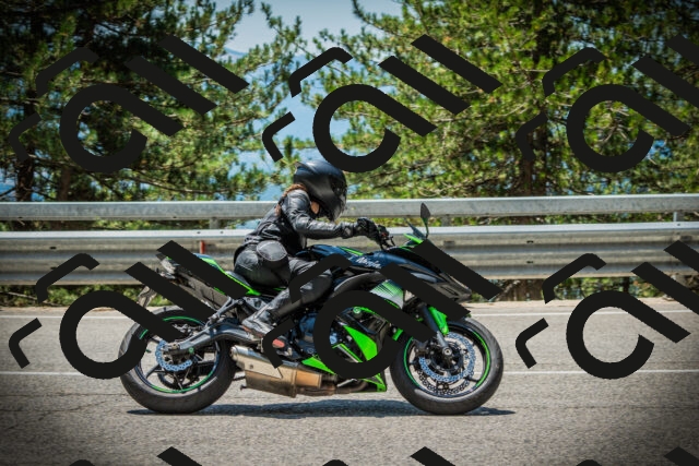 202507201255-DSC07628_c1_