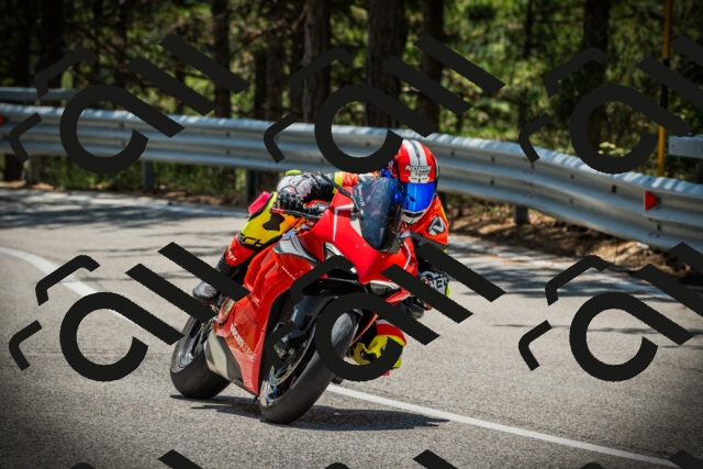 202507201255-DSC07638_c1_