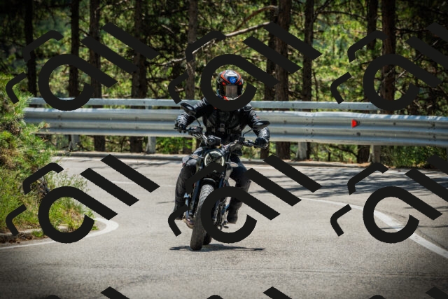 202507201255-DSC07648_c1_