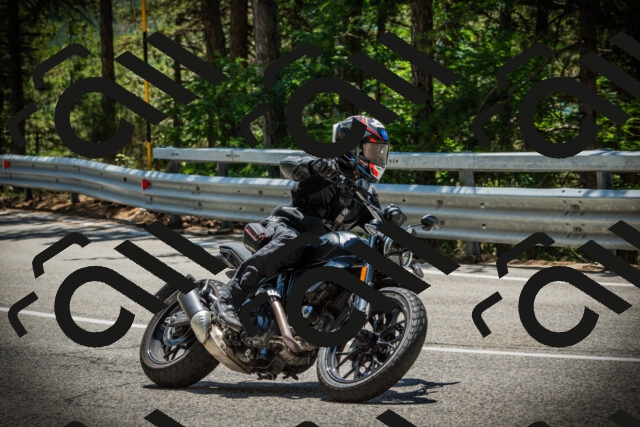 202507201255-DSC07650_c1_